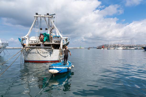 Naples fishing charters